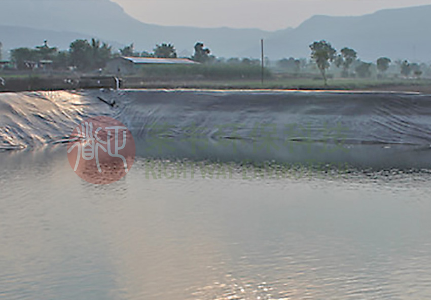 1605497860199763.jpg E5.jpg