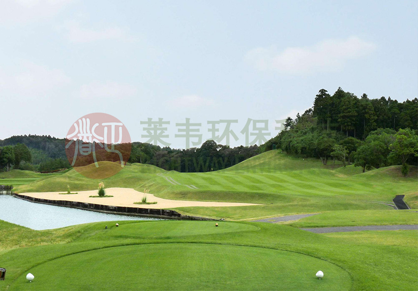 1605498028212910.jpg E6.jpg