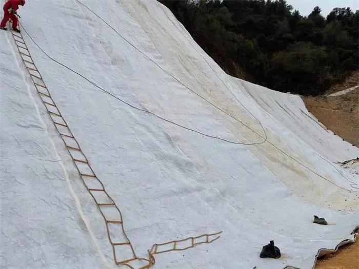 1639365626110587.jpg A6.jpg