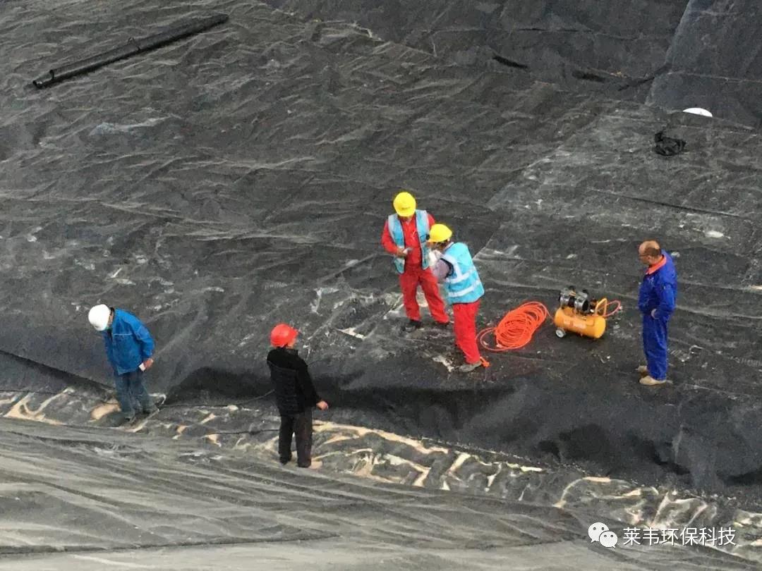 1639365804470066.jpg 1639365804470066.jpg