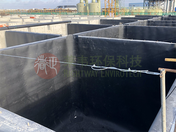 1645060375190976.jpg 11.jpg